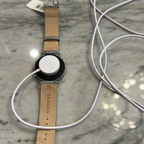 Smartwatch SKAGEN FALSTER 2 SKT5106 Leather Gray Touchscreen main image 4